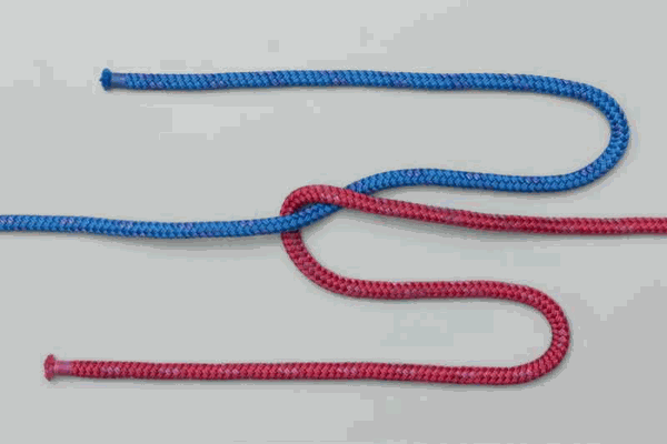 Blood Knot