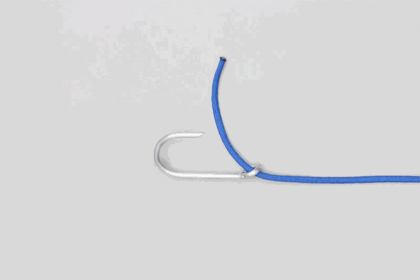 Double Turle Knot